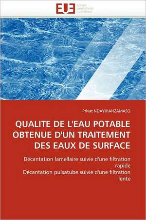 Qualite de L'Eau Potable Obtenue D'Un Traitement Des Eaux de Surface: Le Cas Delta Sante de Privat NDAYIHANZAMASO