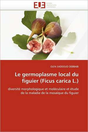 Le Germoplasme Local Du Figuier (Ficus Carica L.): Principes Fondamentaux de OLFA SADDOUD DEBBABI