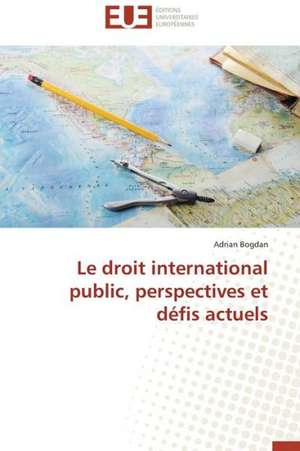 Le Droit International Public, Perspectives Et Defis Actuels: Industrie Plastique de Adrian Bogdan