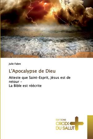 L'Apocalypse de Dieu de Julie Fabre