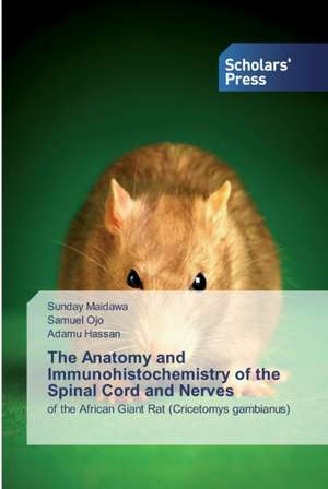 The Anatomy and Immunohistochemistry of the Spinal Cord and Nerves de Sunday Maidawa