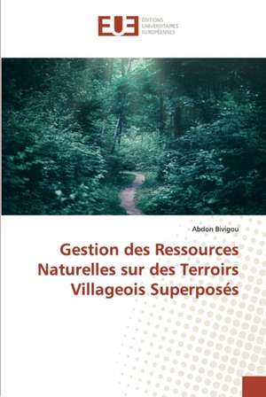 Gestion des Ressources Naturelles sur des Terroirs Villageois Superposés de Abdon Bivigou