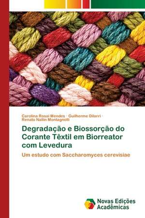 Degradação e Biossorção do Corante Têxtil em Biorreator com Levedura de Carolina Rosai Mendes