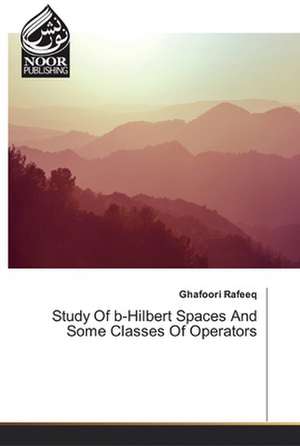 Study Of b-Hilbert Spaces And Some Classes Of Operators de Ghafoori Rafeeq