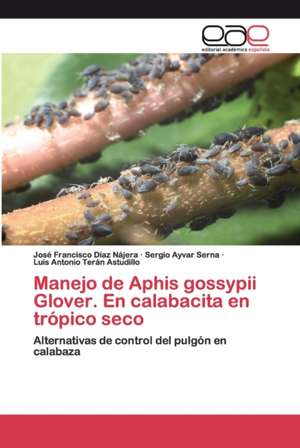 Manejo de Aphis gossypii Glover. En calabacita en trópico seco de José Francisco Díaz Nájera