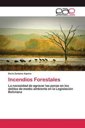 Incendios Forestales de Doris Zenteno Aquino