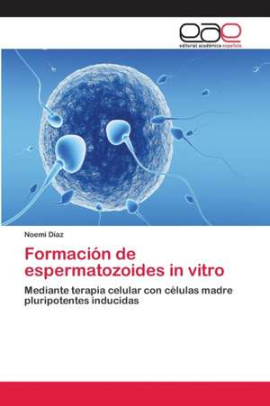 Formación de espermatozoides in vitro de Noemi Díaz