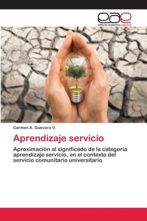 Aprendizaje servicio de Carmen A. Guevara V.