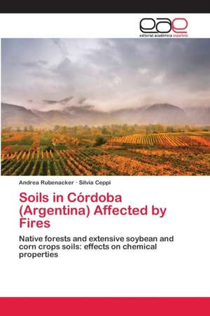 Soils in Córdoba (Argentina) Affected by Fires de Andrea Rubenacker