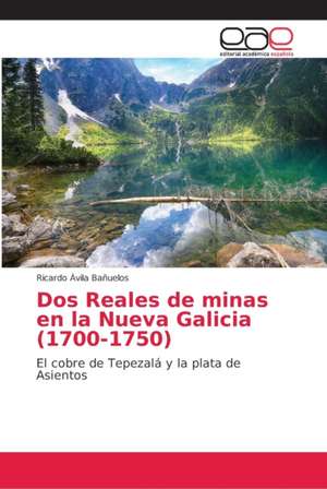 Dos Reales de minas en la Nueva Galicia (1700-1750) de Ricardo Ávila Bañuelos