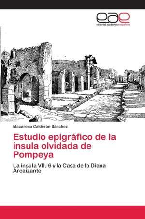 Estudio epigráfico de la ínsula olvidada de Pompeya de Macarena Calderón Sánchez