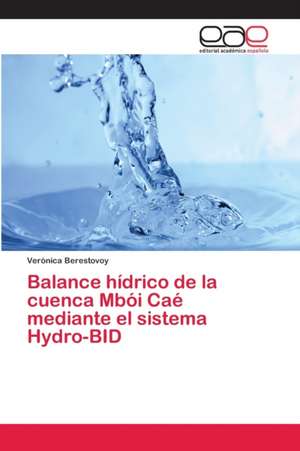 Balance hídrico de la cuenca Mbói Caé mediante el sistema Hydro-BID de Verónica Berestovoy