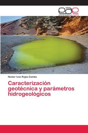 Caracterización geotécnica y parámetros hidrogeológicos de Nestor Ivan Rojas Gamba