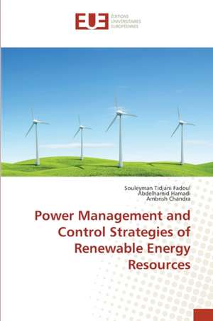 Power Management and Control Strategies of Renewable Energy Resources de Souleyman Tidjani Fadoul