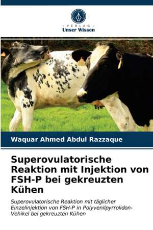 Superovulatorische Reaktion mit Injektion von FSH-P bei gekreuzten Kühen de Waquar Ahmed Abdul Razzaque