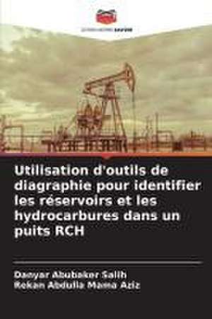 Utilisation d'outils de diagraphie pour identifier les réservoirs et les hydrocarbures dans un puits RCH de Danyar Abubaker Salih