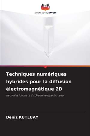 Techniques numériques hybrides pour la diffusion électromagnétique 2D de Deniz Kutluay