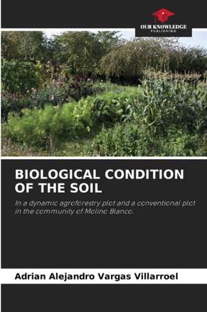 BIOLOGICAL CONDITION OF THE SOIL de Adrian Alejandro Vargas Villarroel