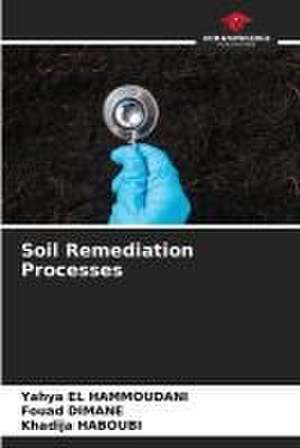 Soil Remediation Processes de Yahya El Hammoudani