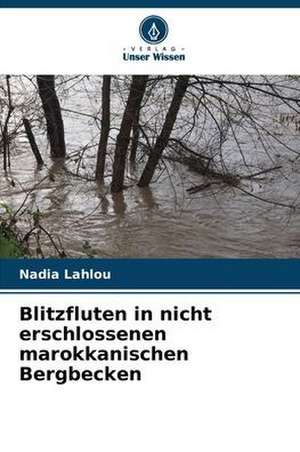 Blitzfluten in nicht erschlossenen marokkanischen Bergbecken de Nadia Lahlou