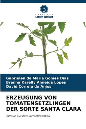 ERZEUGUNG VON TOMATENSETZLINGEN DER SORTE SANTA CLARA de Gabrielen de Maria Gomes Dias