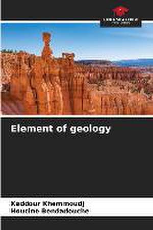 Element of geology de Kaddour Khemmoudj