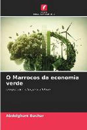 O Marrocos da economia verde de Abdelghani Bachar