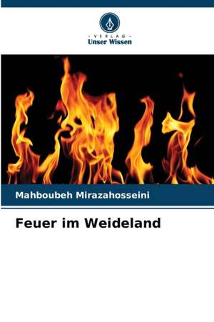 Feuer im Weideland de Mahboubeh Mirazahosseini