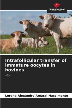 Intrafollicular transfer of immature oocytes in bovines de Lorena Alexandre Amaral Nascimento