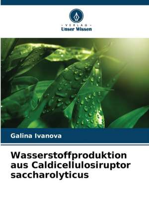 Wasserstoffproduktion aus Caldicellulosiruptor saccharolyticus de Galina Ivanova