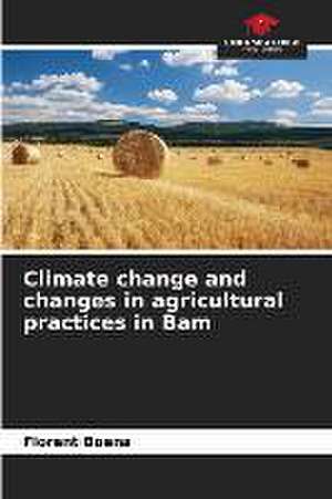 Climate change and changes in agricultural practices in Bam de Florent Boena