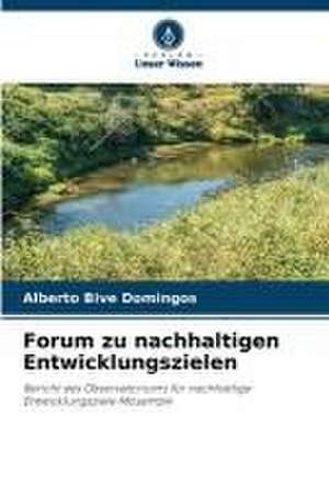 Forum zu nachhaltigen Entwicklungszielen de Alberto Bive Domingos