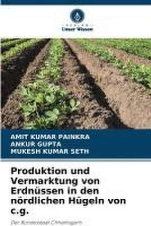 Produktion und Vermarktung von Erdnüssen in den nördlichen Hügeln von c.g. de Amit Kumar Painkra