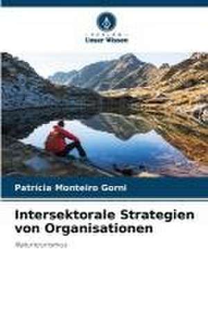 Intersektorale Strategien von Organisationen de Patrícia Monteiro Gorni