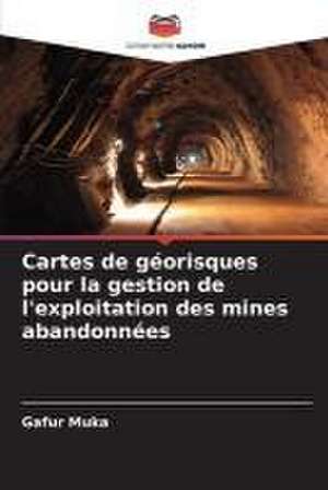 Cartes de géorisques pour la gestion de l'exploitation des mines abandonnées de Gafur Muka