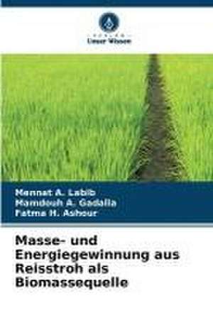 Masse- und Energiegewinnung aus Reisstroh als Biomassequelle de Mennat A. Labib