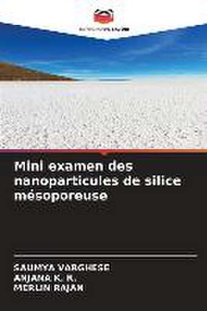 Mini examen des nanoparticules de silice mésoporeuse de Saumya Varghese