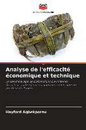 Analyse de l'efficacité économique et technique de Hayford Agbekpornu