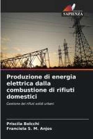 Produzione di energia elettrica dalla combustione di rifiuti domestici de Priscila Bolcchi