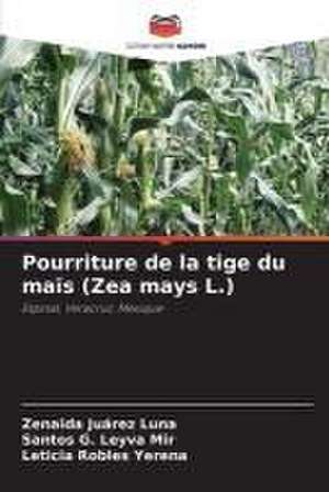 Pourriture de la tige du maïs (Zea mays L.) de Zenaida Juárez Luna