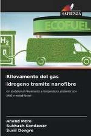 Rilevamento del gas idrogeno tramite nanofibre de Anand More