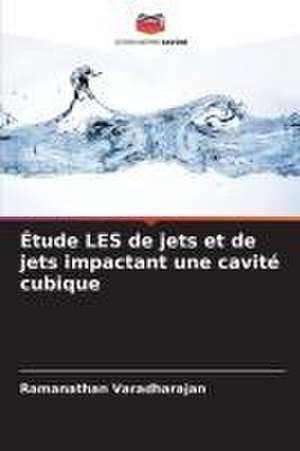 Étude LES de jets et de jets impactant une cavité cubique de Ramanathan Varadharajan