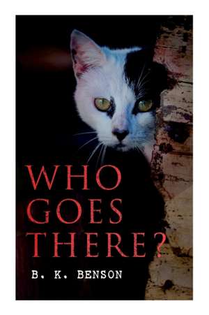 Who Goes There?: The Story of a Spy in the Civil War de B. K. Benson