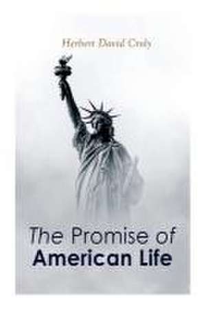 The Promise of American Life de Herbert David Croly