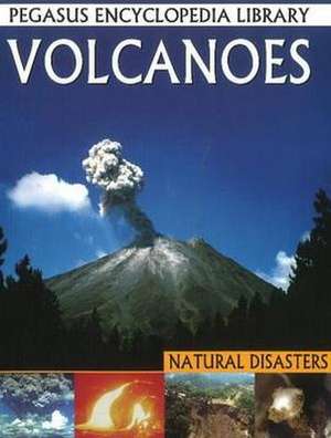 Volcanoes de Pallabi B. Tomar