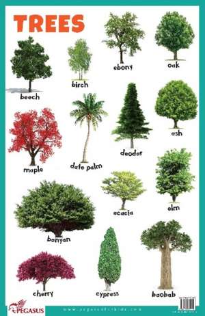 Trees Educational Chart de Pegasus