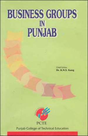 Business Groups in Punjab de K. N. S. Kang