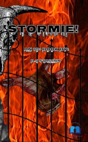 Stormie! de B. J Starink