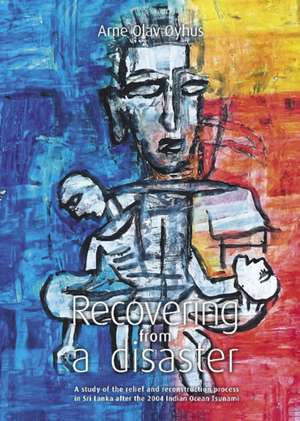 Recovering from a disaster de Arne Olav Oyhus