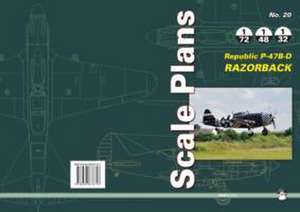 Karnas, D: Republic P-47b-D Razorback de Dariusz Karnas